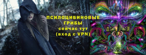 дурь Инсар