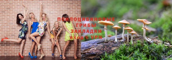 дурь Инсар