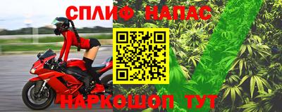 эйфоретик Аргун
