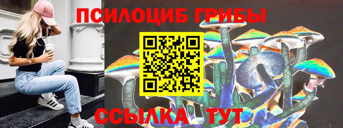 Москва  Псилоцибиновые грибы MAGIC MUSHROOMS  Вход с VPN 